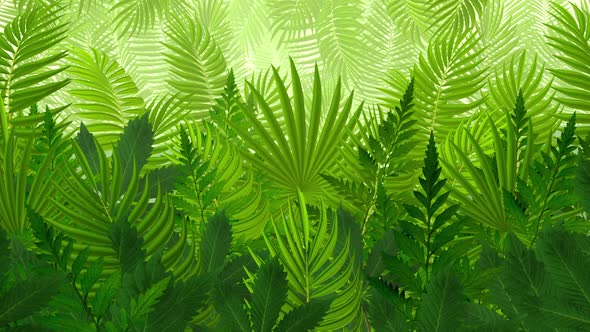 Jungle Tropical Plants