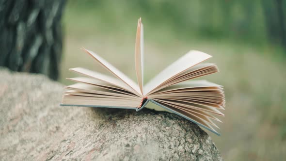 Open Book On Rock With Pages Gently Blowing in The Wind. - close up