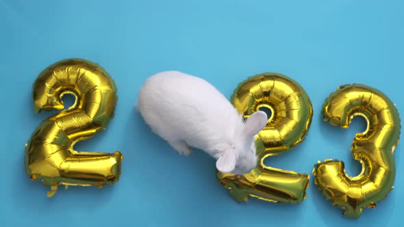 Flat Lay Inflatable Golden Balloons in the Form of Numbers 2023 on Blue Background