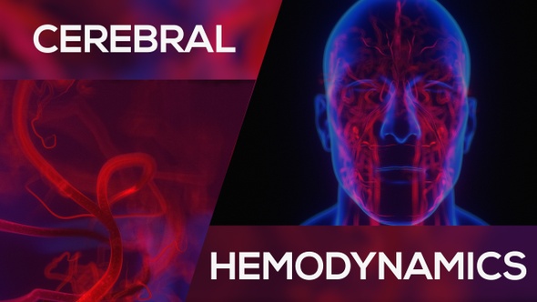 Brain Hemodynamics Neon