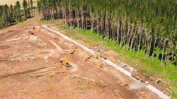 Logging industry processing location of fresh cut logs in clearcut forest, aerial