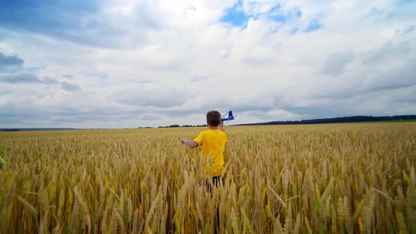 Little children with toy airplane in a field. Success and child leader concept. Boy dreams of becomi