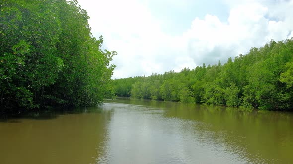 Scenery of the ecosystem by traditional bamboo rafting.