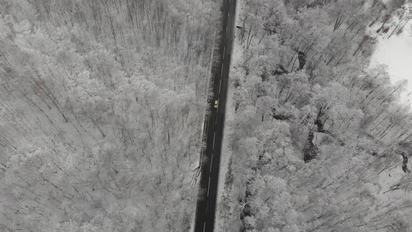 Top View With a Road in the Middle of the Forest in Winter