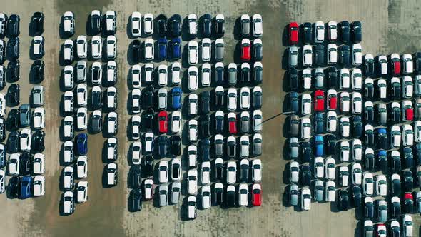 Car Dealer Parking Lot Full of New Automobiles. Aerial Shot of Cars at a Car Dealer Parking Lot.
