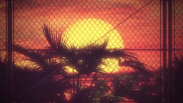 Fence Sunset 02 Hd