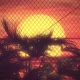 Fence Sunset 02 Hd - VideoHive Item for Sale