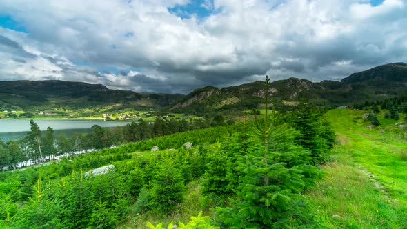 Time lapse of Christmas tree firs growing in Norway with mountains and lake