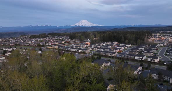 Aerial shot pushing towards Mount Rainier through trees with a large community of neighborhoods unde