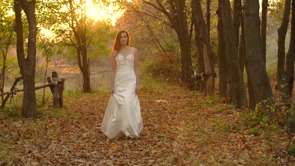 Young Brunette Woman in Long White Dress Walks Along Autumn Colorful Forest Against Sunset. Slow