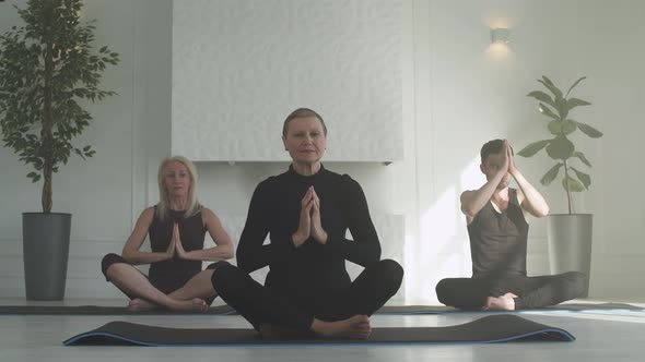 Wellness, People of Different Ages Doing Yoga, Group of People Relaxing in a White Room Filled 
