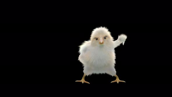 28 Baby Chicks Dancing 4K