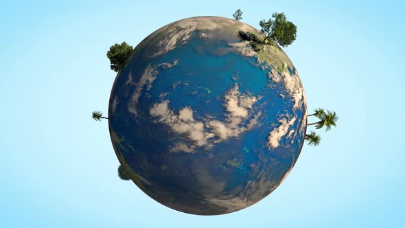 Earth globe spinning with different realistic trees on it.. Alpha channel included.