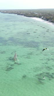 Boat Boats in the Ocean Near the Coast of Zanzibar Tanzania Slow Motion Vertical Video