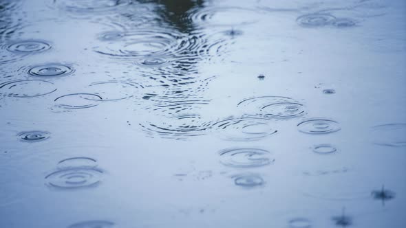 Rain drops in super slow motion alt