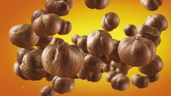 Flying of Hazelnuts in Orange Background