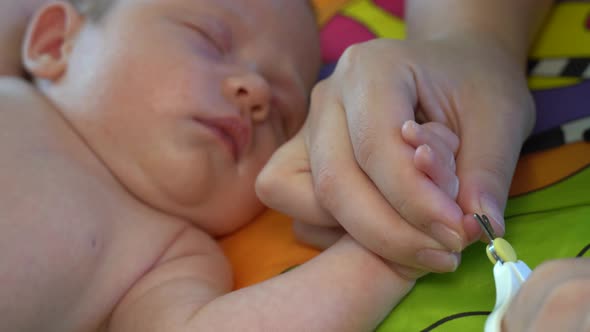 a Newborn Child Cut Nails on the Hand with Small Scissors