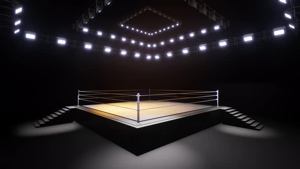 Sports Wrestling And Boxing. Sport 4K Professional Background Animation