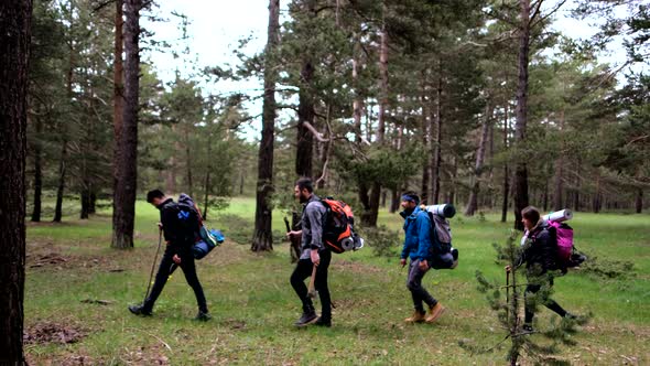 Group Of Hikers Walking