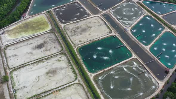 Aquaculture, primary industry with controlled process of cultivating aquatic organisms, seafood prod