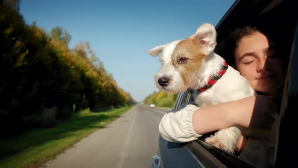 Dog and Happy Girl Sticking Their Heads Out the Car Window