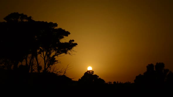 Sun Hiding between Trees at Sunset 