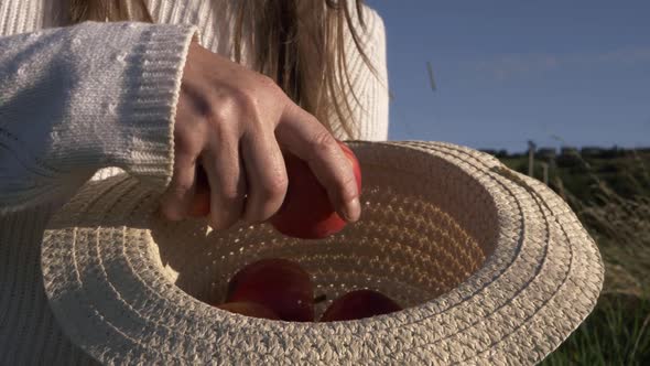 Woman putting ripe red apples into a straw hat medium shot