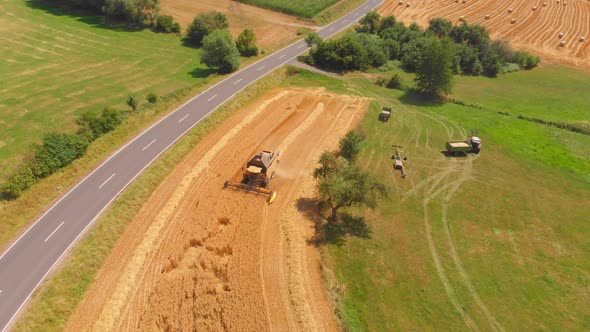 tractor harvesting golden ripe barley fields.