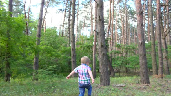 Running in the Pine Forest