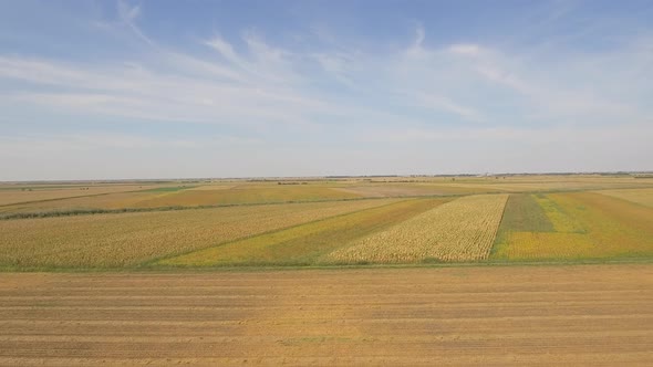 Farmland Landscape In Late Summer