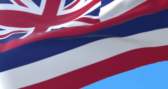 Flag of Hawaii State