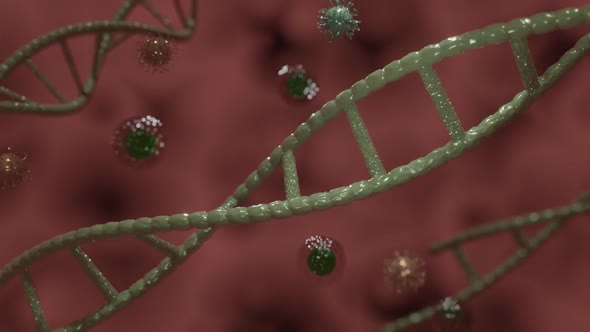 Coronavirus With ADN alt