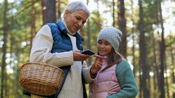 Grandmother and Granddaughter Picking Mushrooms