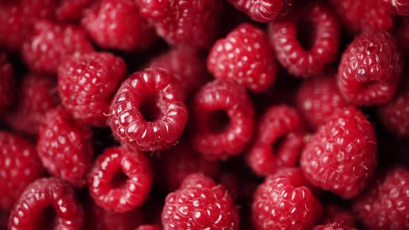 Close Up of Rotation Scarlet Raspberry