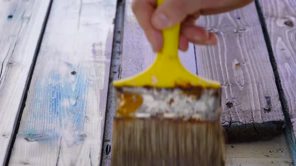 In the Frame Is a Large Brush and Brown Paint on the Tree. Decorating the Old Wall Board.