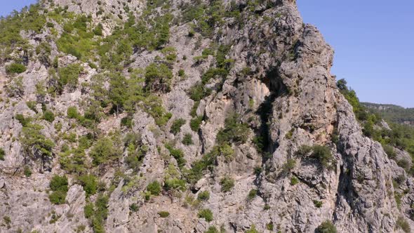 Aerial View of Evergreen Pine Trees on Steep Rocky Mountain