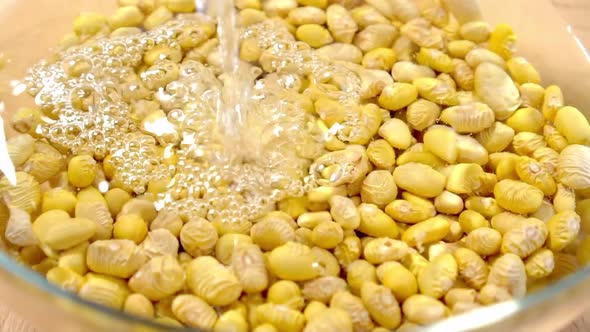 Cooking Peruvian Canary beans. Soaking in a glass bowl. Pouring water in slow motion