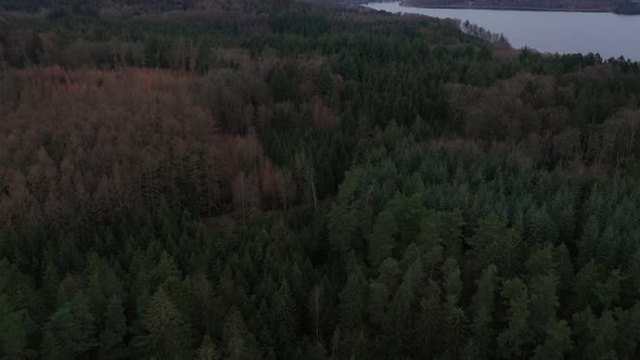 Aerial Over the Hills Covered with Forest in Himmelbjerget Area Denmark