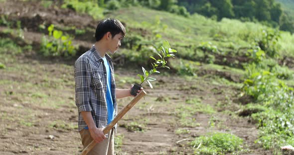 Man Finding Location For Planting Tree