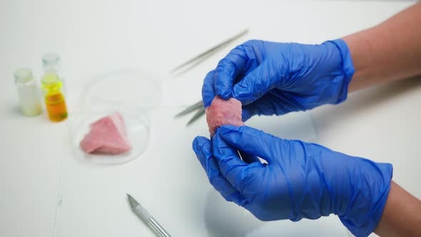 Medical Scientist Specialist in Medical Uniform Examining a Piece of Meat Food Research in