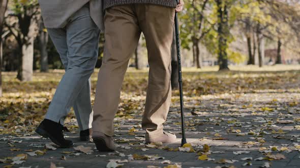 Low section of senior couple walking together at the park in autumn. Shot with RED helium camera in