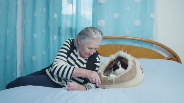 Greyhaired Woman Lets Black Kitten Play with Bow of Glasses