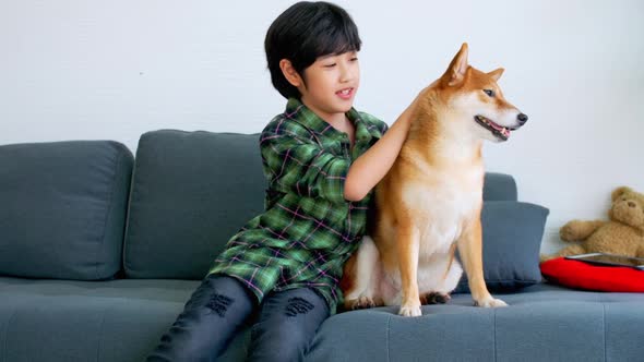 Asian boy having fun playing with his dog on sofa at home.