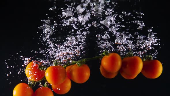 Fresh Orange Tomatoes on Twig Fall Down in Clear Water