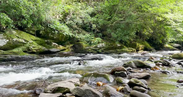 Mountain stream in The Great Smoky Mountains