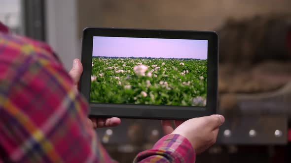 Close-up, Farmer Holds Digital Tablet in Hands on Background of Potato Storage Warehouse. It Shows