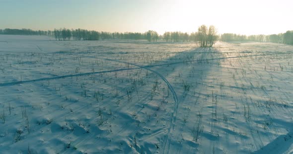 Aerial Drone View of Cold Winter Landscape with Arctic Field, Trees Covered with Frost Snow 