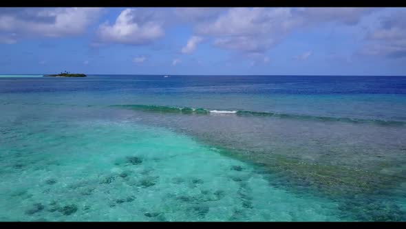 Aerial drone view abstract of relaxing resort beach wildlife by blue water with white sand backgroun