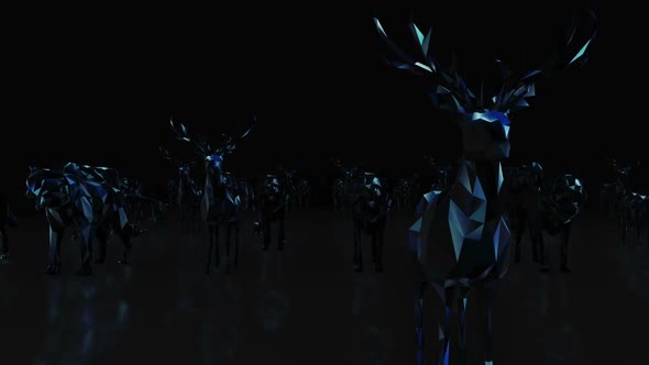 Animals Neon Hd  alt