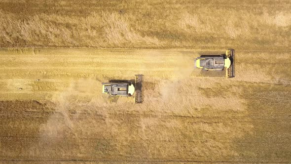 Aerial view of combine harvester harvesting large ripe wheat field.